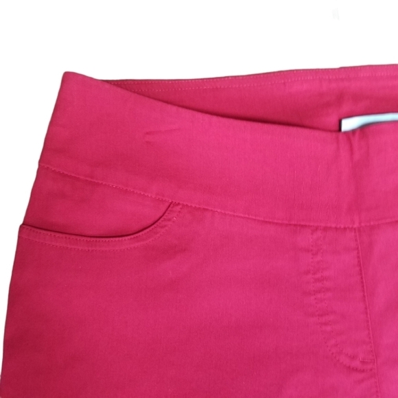 Carroll Reed Sz.8 Red Stretch Classic Capri Pants Casual Laid Back Modern Chic - Picture 3 of 8